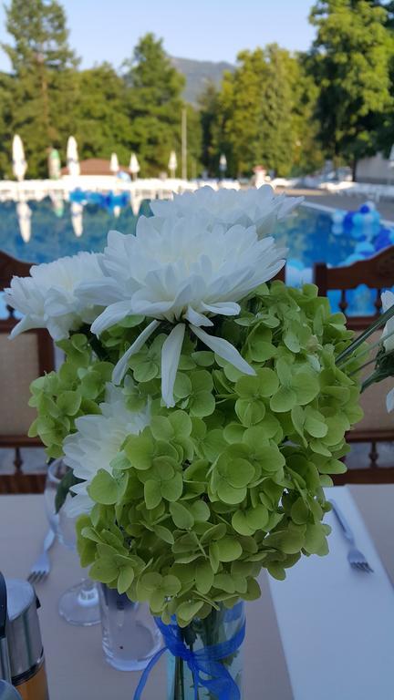 וארשץ Spa Hotel Medicus מראה חיצוני תמונה